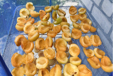 Сушарки